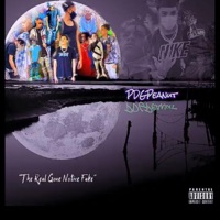 Run Yo Pockets (Explicit Version) - Single - PDGPeanut