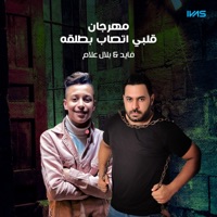 مهرجان قلبي اتصاب بطلقه - Single - فايد & Belal Alam