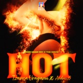 HOT (From Miami Bici 2 The Movie) artwork