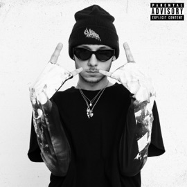 Alte Alea Amtilb & Solomon