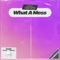 What A Mess