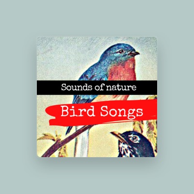 Escucha a Nature Sound Emporium, mira vídeos musicales, lee la biografía, consulta fechas de giras y mucho más.