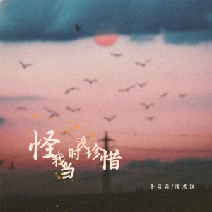 怪我当时没珍惜 - Single