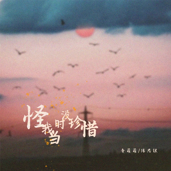 怪我当时没珍惜 - Single