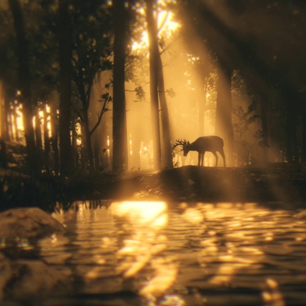 Forsaken
