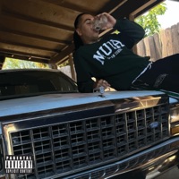 Moccasin & Loafers - Single - Tiny MD