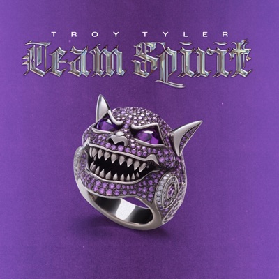 Team Spirit - Single