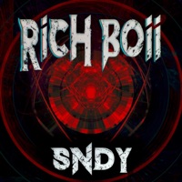 Rich Boii - Single - SNDY