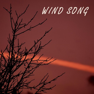 Wind Song - Single