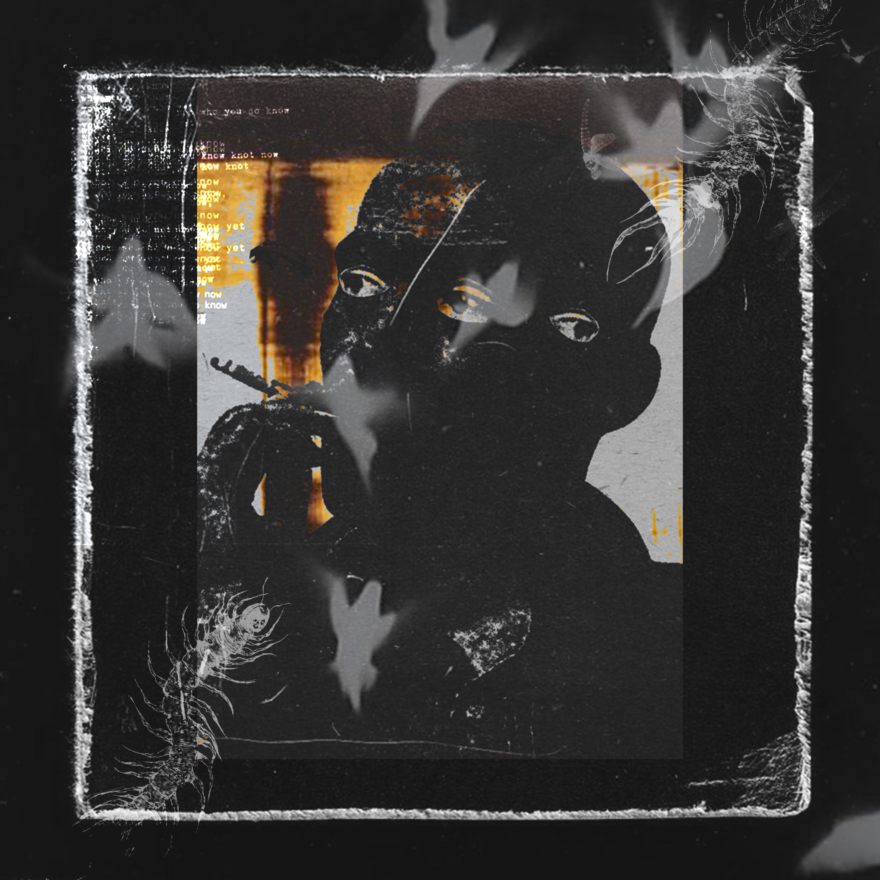 Masochistic Desire - Single