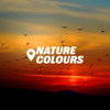 Morning Birds - Nature Colours