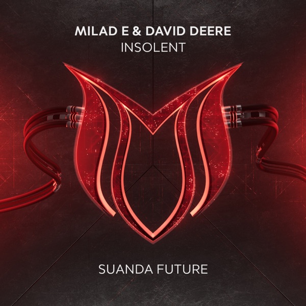 Insolent - Single