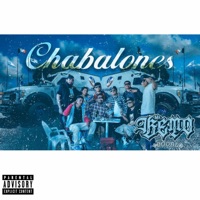 Chabalones - Single - Mr. Beto