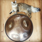 D Kurd handpan