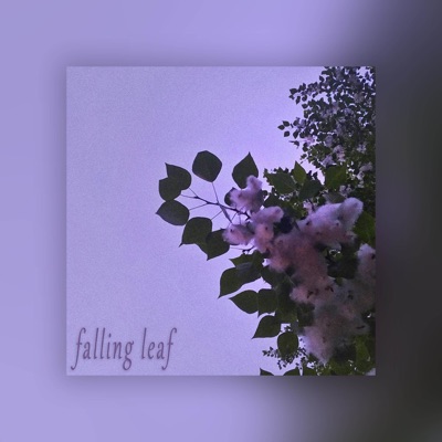 Falling Leaf - Single