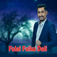 Fulai Fulko Dali (Live) - Single - Govinda Gautam