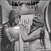 Like What (feat. 917 Rackz) - Single - Milani Bandz