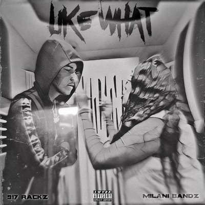 Like What (feat. 917 Rackz) - Single