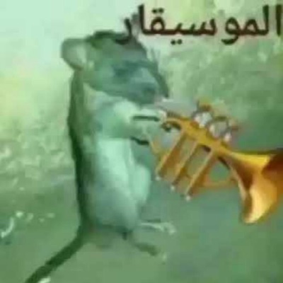 Abohar - معزوفة حزينة الفار الموسيقار