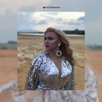 Ske dite me m'dashte (instrumental) - Single - Arta Bajrami