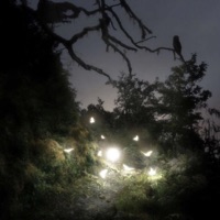 Long Enough - Single - nepphh