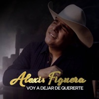VOY A DEJAR DE QUERERTE