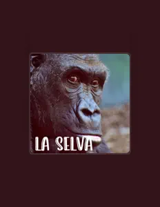 Listen to EL SIMIO, watch music videos, read bio, see tour dates & more!