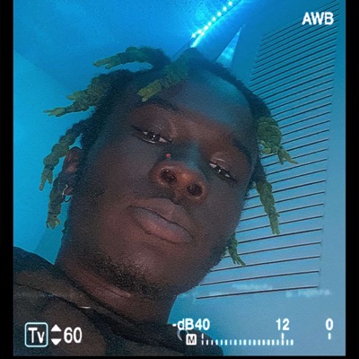 Public Enemy - Single