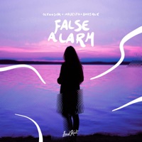 False Alarm - Single - Oceanside, Majesto & Badjack
