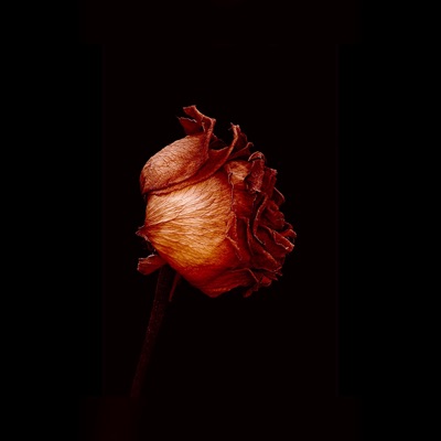 Dont Make Me - Single