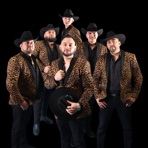 Mazizo Musical