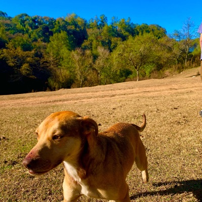 Drive Me Crazy (House Version) - Single