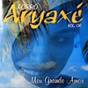 Meu Grande Amor, Vol. 06