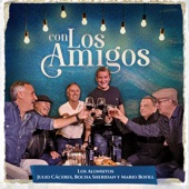 Con los Amigos (feat. Julio Cáceres, Bocha Sheridan, Mario Bofill & Richard Scófano) artwork