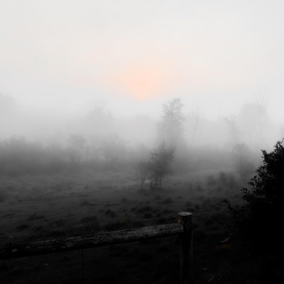 The Truth or a lie (feat. Lauren Sukkau) - Single