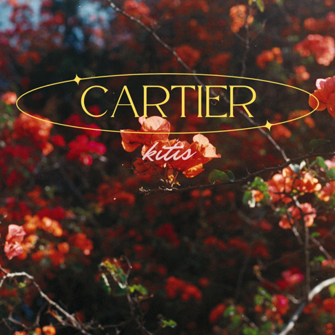 Cartier Song by Kitis Apple Music