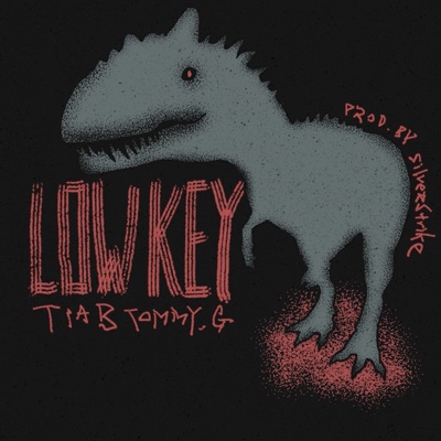 LOWKEY (feat. TOMMY GROOVES) - Single
