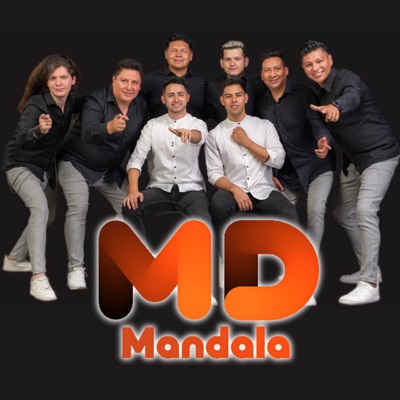 Notificación Preferida - Single