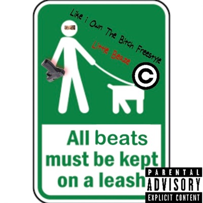 Like i Own the Bitch Freestyle - Single