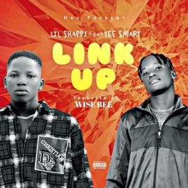 Link Up (feat. Tee Smart) Lil Shappi