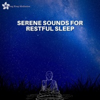 Serene Sounds for Restful Sleep: Sleep Therapy Music - Hong Kong Meditation
