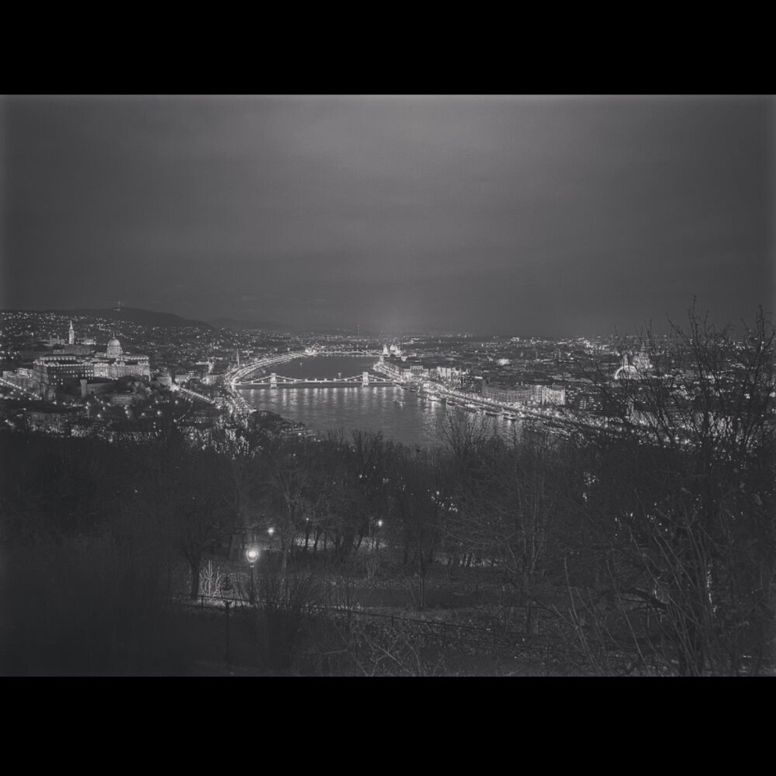 01/01 Grand Budapest hôtel - Single
