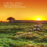 Healing (Brigid) - Single - Sean Johnson & The Wild Lotus Band