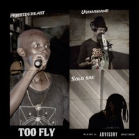 Too Fly - Single - Priestdebeast, Solo Sae & Usimamane