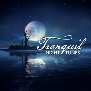 Tranquil Night Tunes: Relaxing Twilight Harmonies, Quiet Moonlit Music