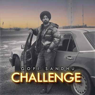 Challenge (feat. Snappy) - Single