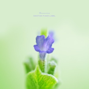 Into Your Scent - Single