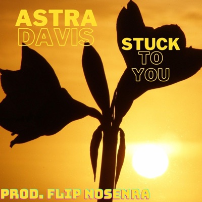 Stuck to You (feat. Kayko) - Single