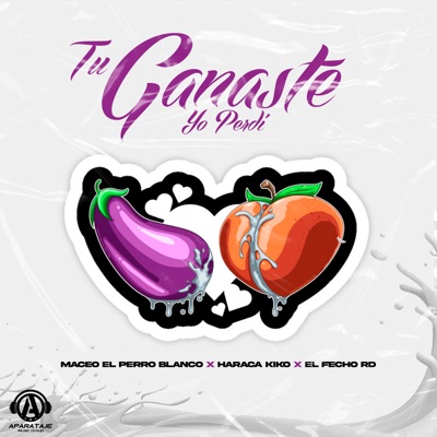 Tu Ganaste Yo Perdí - Single