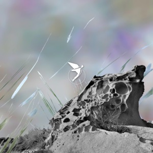 Higher Ground - Single